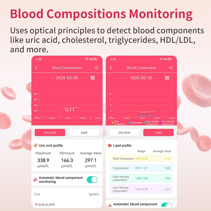 PH02 MULTI-LEAD ECG Monitoring  Blood Glucose Blood Pressure Heart Rate Measurement Health Smart Watch